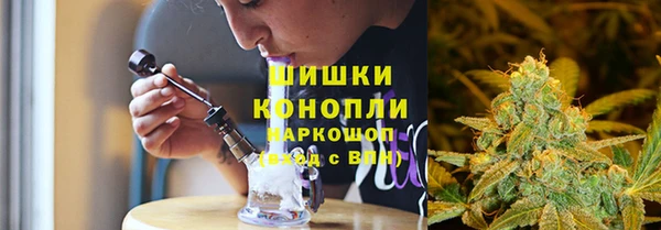 шишки Арсеньев