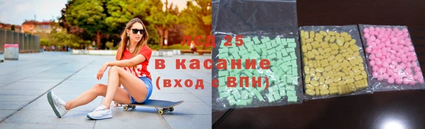 шишки Арсеньев