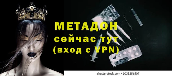 шишки Арсеньев
