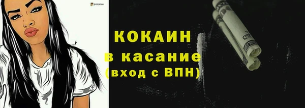шишки Арсеньев