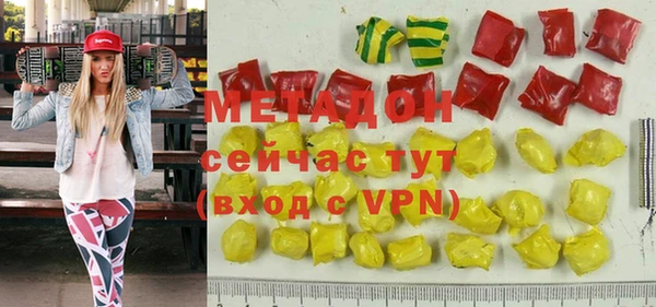 индика Аркадак