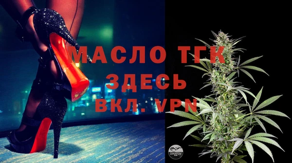 индика Аркадак