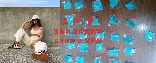 шишки Арсеньев
