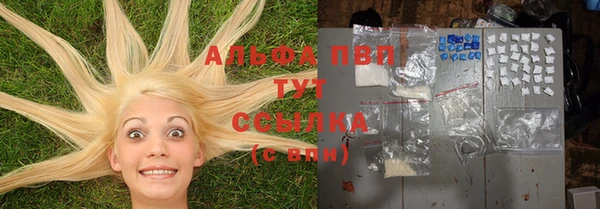 шишки Арсеньев