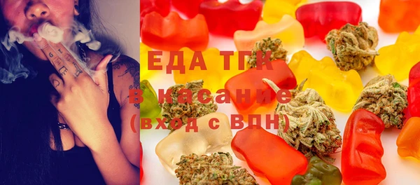индика Аркадак