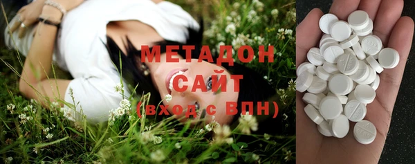 шишки Арсеньев