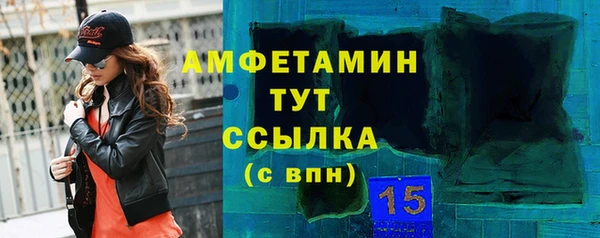 шишки Арсеньев