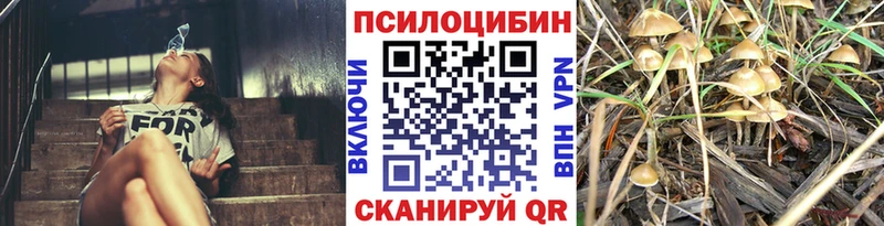 наркошоп  Усть-Илимск  Псилоцибиновые грибы ЛСД 